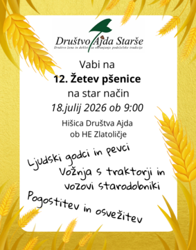 Žetev pšenice